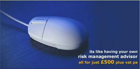 Business Risk Management